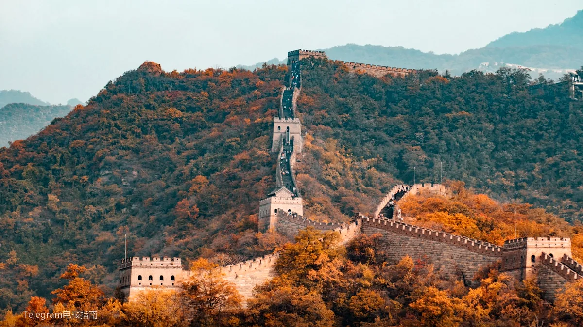 Telegram国内使用教程配图 - Telegram国内使用教程:手机端配置全流程