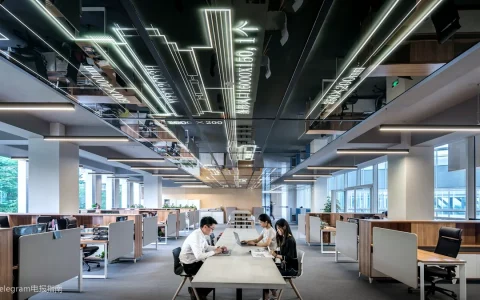 纸飞机安全技巧：账号保护必修课