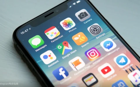 Telegram用户名安全：避免信息泄露